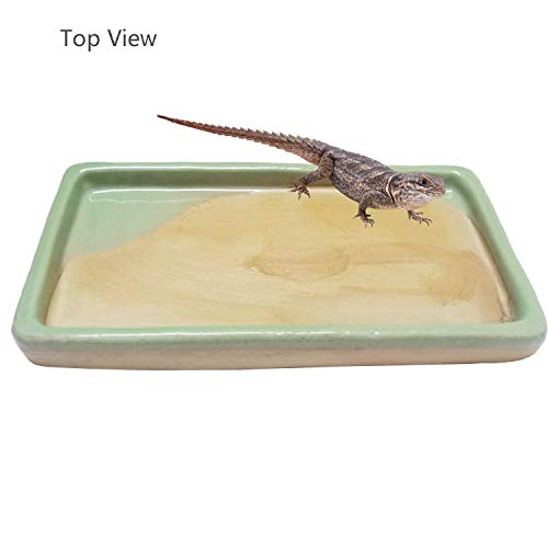 Fuongee Reptile Feeding Dish Bowl Food and Water Bowl Tortoise Dish Reptile Tank Decor, Heavy Duty Ceramic Feeding Dish, Large Size