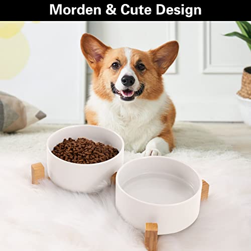 Ihoming Cat Bowls, Puppy Ceramic Food and Water Bowls Set, 1 3/4 Cups X 2, Indoors White Pet Bowls with Wood Stand