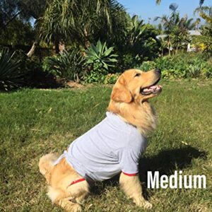 Short Sleeve Shirt for Dogs New! from POP FOR PETS (Large Red) - Better Than The Cone! POPforPETS Cotton Shirt for Larger Dogs. The Most Comfortable Alternative for Recovery!