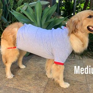 Short Sleeve Shirt for Dogs New! from POP FOR PETS (Large Red) - Better Than The Cone! POPforPETS Cotton Shirt for Larger Dogs. The Most Comfortable Alternative for Recovery!