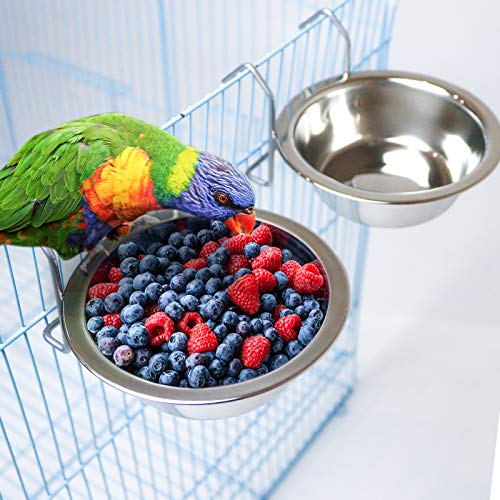 2 Pack Bird Feeder Birds Bowls Stainless Steel Dishes Coop Cups with Wire Hook, Parrot Feeding Dish Cups Food Water Bowls with Bird Food Holder and Rattan Ball for Finches Lovebirds (Set 1)