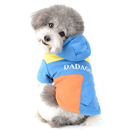 Ranphy Small Dog Coat Girl Boy Puppy Velvet Clothes Pet Hoodies for Cold Weather Puffer Jacket Warm Padded Sweatshirt Outfit with Hood Super Soft Winter Outdoor Apparel Blue L