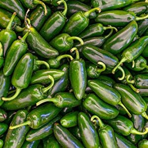 25+ Early Jalapeno Pepper Seeds, Heirloom, Country Creek LLC, Non-GMO, Spicy & Delicious