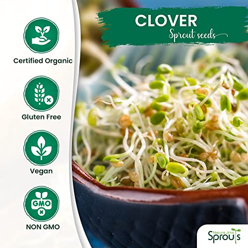 Nature Jims Clover Sprout Seeds – 16 oz Organic Sprouting Seeds – Non-GMO Premium Clover Seeds – Resealable Bag for Longer Freshness – Rich in Vitamins, Minerals, Fiber