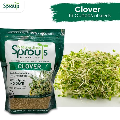 Nature Jims Clover Sprout Seeds – 16 oz Organic Sprouting Seeds – Non-GMO Premium Clover Seeds – Resealable Bag for Longer Freshness – Rich in Vitamins, Minerals, Fiber