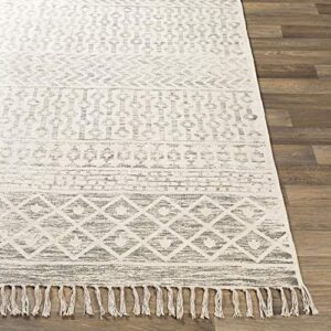 Artistic Weavers Aravis Bohemian Moroccan Area Rug, 5 ft x 7 ft 6 in, Charcoal