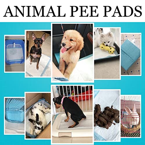 kathson Rabbit Pee Pads Disposable Cage Liners Super Absorbent Black Carbon Odor-Control Bunny Training Pad with Quick-Dry Surface for Bunny Guinea Pig Kitten Hedgehog Small Animals (100 pcs Gray)