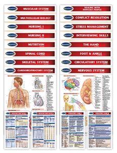 permacharts nursing, bsn, registered nursing year 1 curriculum essential quick reference guides - 20 chart bundle medical nursing charts bundle