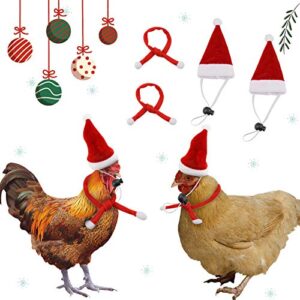 gabraden 2 pack christmas chicken hat and christmas chicken scarf,adjustable christmas chicken hat,christmas clothes for chicks and hens (2-red, christmas)