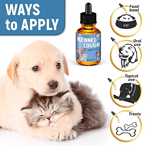 Dog Cough - Kennel Cough - Dog Allergy Relief - Supplements For Dogs & Cats Health - Allergy Relief Immune Supplement for Dogs - for Dry, Wet & Barkly Pet Cough - Suitable For All Sizes