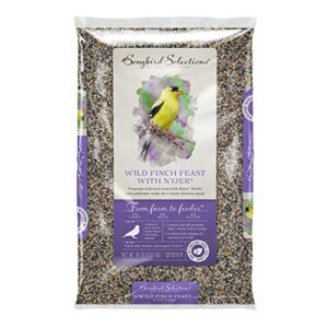 global harvest foods audubon park songbird selections finches wild bird food nyjer seed 10 lb.