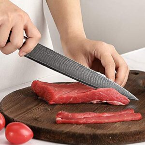 Slicing Knife 8 Inch, Carving Brisket Kitchen Knife Forged with VG10 Super Steel 67-Layer Damascus, Non-slip ABS Ergonomic Triple Rivet Handle, Razor Sharp Lightweight Multipurpose