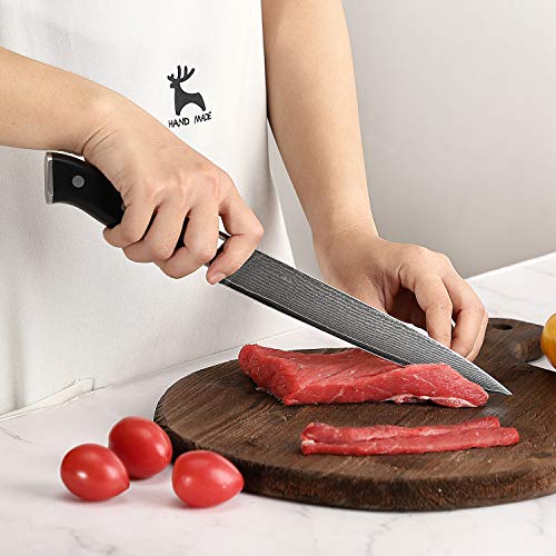 Slicing Knife 8 Inch, Carving Brisket Kitchen Knife Forged with VG10 Super Steel 67-Layer Damascus, Non-slip ABS Ergonomic Triple Rivet Handle, Razor Sharp Lightweight Multipurpose