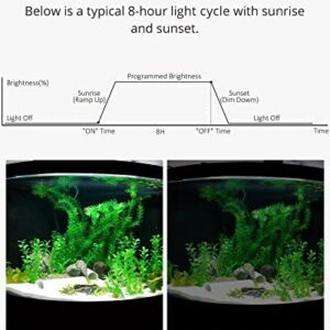 NICREW Aquarium Light Timer&Dimmer, Easy to Program Fish Tank Light Controller