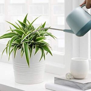 SAROSORA Nordic Watering Can for Plants Garden Flower Long Spout 1.2L Helps You Water Tiny House Plants, Succulent, Bonsai or Herb Gardens Indoor Outdoor (Blue)