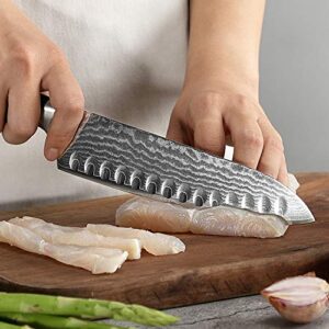 Damascus Kitchen Knife, 7 Inch Santoku Knife Professional Kitchen Knife Forged with VG10 Super Steel 67-Layer Damascus, Non-slip ABS Ergonomic Triple Rivet Handle, Razor Sharp Lightweight Multipurpose