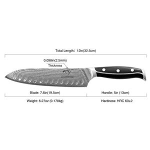 Damascus Kitchen Knife, 7 Inch Santoku Knife Professional Kitchen Knife Forged with VG10 Super Steel 67-Layer Damascus, Non-slip ABS Ergonomic Triple Rivet Handle, Razor Sharp Lightweight Multipurpose