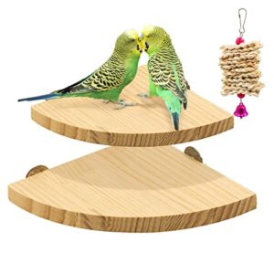 2 pack bird perch platform, parrot stand sector playground wood perch stand toy cage accessories exercise toy for parakeet conure cockatiel budgie gerbil rat mouse chinchilla hamster
