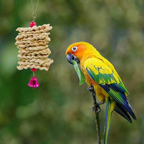 2 Pack Bird Perch Platform, Parrot Stand Sector Playground Wood Perch Stand Toy Cage Accessories Exercise Toy for Parakeet Conure Cockatiel Budgie Gerbil Rat Mouse Chinchilla Hamster