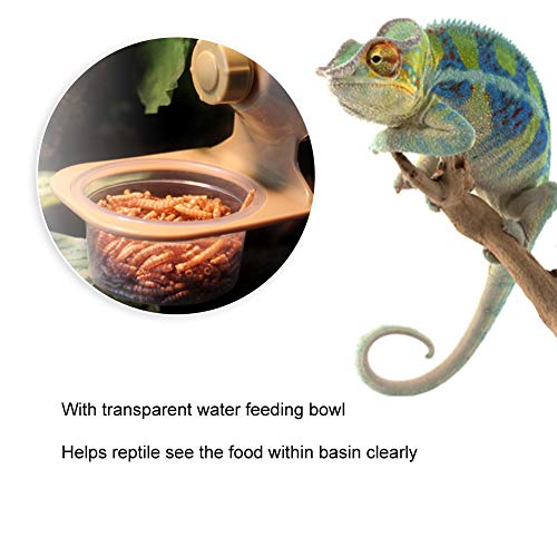 Reptile Feeder Bowl, ABS Plastic Pet Reptile Suspension Food Feeder with Suction Cup Fixed Hanging Lizard Anti Escape Water Breeding Feeding Bowl (Single Bowl)