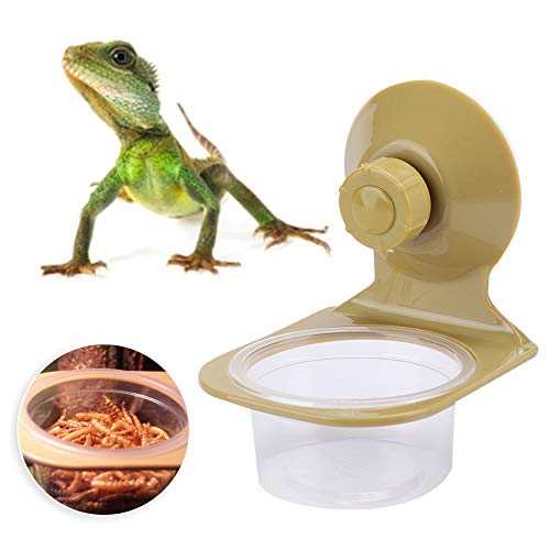 Reptile Feeder Bowl, ABS Plastic Pet Reptile Suspension Food Feeder with Suction Cup Fixed Hanging Lizard Anti Escape Water Breeding Feeding Bowl (Single Bowl)