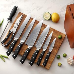 NANFANG BROTHERS Knife Sets for Kitchen with Block, Damasucs Kitchen Knife Sets 9 Pieces with Ergonomic Triple Rivet Handle, Kitchen Knives for Chopping, Slicing, Dicing & Cutting