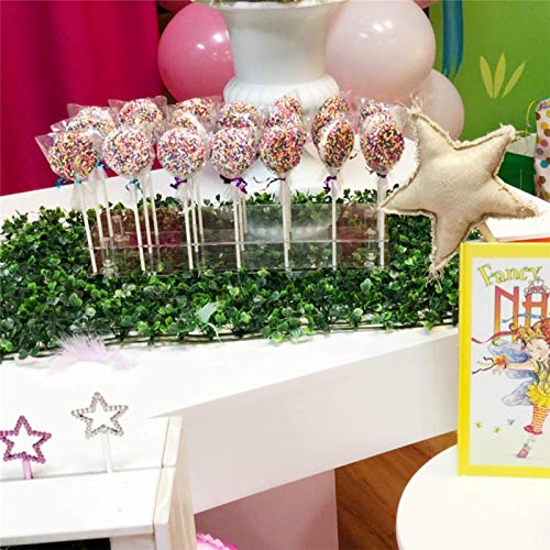 Fox Claw 2 Packs Lollipop Holder Cake Pop Stand Display 100PCS Clear Treats Bags 100PCS Lollipop Sticks and 100PCS Gold Metallic Twist Ties for Candy Cake Pop Making Tools (2)