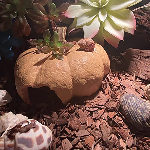 Lizard Hideout Cave,Pumpkin House Reptile Hideout Cave Reptile Hideaway Habitat Decor Chameleons Rest Hut for Turtles Lizards Gecko Spider Chameleons