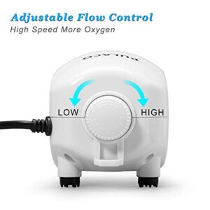 PULACO 210 GPH Ultra Quiet Aquarium Air Pump Dual Outlet, Fish Tank Aerator Pump with Accessories, Under 300 Gallon Fish Tanks