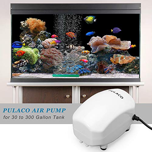 PULACO 210 GPH Ultra Quiet Aquarium Air Pump Dual Outlet, Fish Tank Aerator Pump with Accessories, Under 300 Gallon Fish Tanks