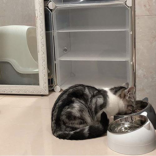 PINVNBY 2PCS Raised Cat Bowl Tilted 15° Slanted Elevated Bulldog Feeder Non-Spill Dog Kitten Food Dish Anti-Slip Detachable Pet Stainless Steel Slope Base for Small Pets Black&White