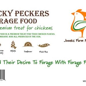 Chicken Feed Treat 10 lbs | USA Produced Grubs (Black Fly Larvae) & Organic Whole Grains