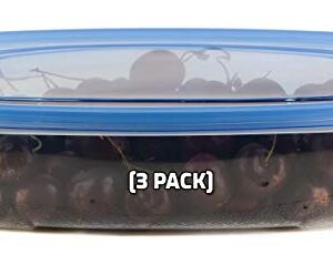 EcoQuality [3 PACK] 64oz Rectangular Oblong Plastic Reusable Storage Containers with Snap On Lids - Airtight Stackable Reusable Plastic Food Storage, Leak-Proof, Meal Prep, Lunch, Togo, BPA-Free