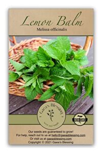 gaea's blessing seeds - lemon balm seeds - non-gmo seeds with easy to follow planting instructions - 92% germination rate melissa officinalis