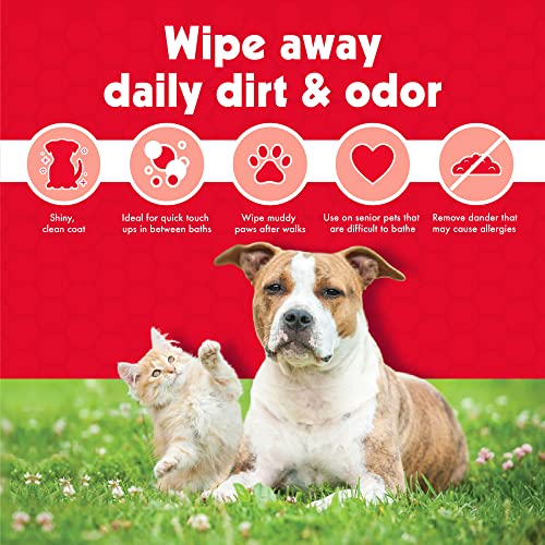 Petkin Pet Wipes for Dogs and Cats, 200 Large Wipes - Removes Dirt & Odor Like Washing Hands - Cleans Ears, Face, Butt, Eye Area - Convenient, Ideal for Home or Travel - 2 Packs of 100 Wipes