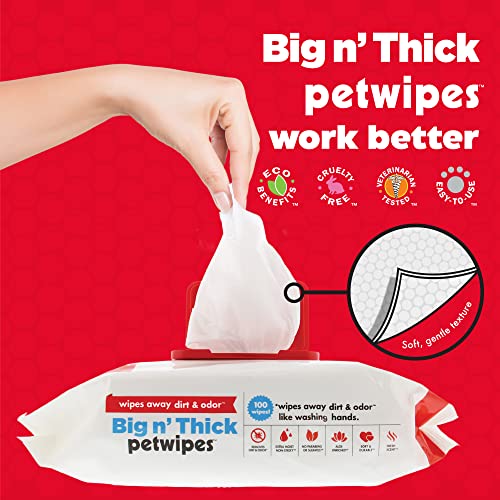 Petkin Pet Wipes for Dogs and Cats, 200 Large Wipes - Removes Dirt & Odor Like Washing Hands - Cleans Ears, Face, Butt, Eye Area - Convenient, Ideal for Home or Travel - 2 Packs of 100 Wipes