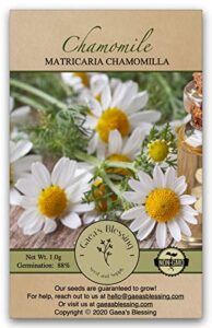 gaea's blessing seeds - chamomile seeds - non-gmo seeds with easy to follow planting instructions - seeds heirloom common german germination rate 88% net wt. 1.0g