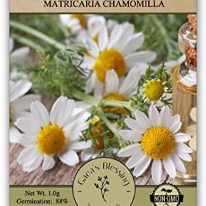 Gaea's Blessing Seeds - Chamomile Seeds - Non-GMO Seeds with Easy to Follow Planting Instructions - Seeds Heirloom Common German Germination Rate 88% Net Wt. 1.0g