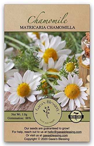 Gaea's Blessing Seeds - Chamomile Seeds - Non-GMO Seeds with Easy to Follow Planting Instructions - Seeds Heirloom Common German Germination Rate 88% Net Wt. 1.0g