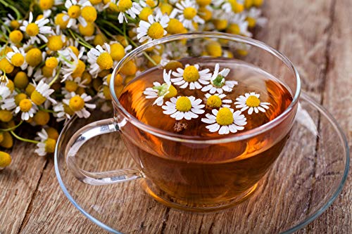 Gaea's Blessing Seeds - Chamomile Seeds - Non-GMO Seeds with Easy to Follow Planting Instructions - Seeds Heirloom Common German Germination Rate 88% Net Wt. 1.0g