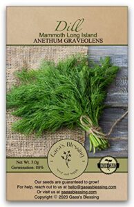 gaea's blessing seeds - dill seeds - mammoth long island - non-gmo seeds with easy to follow instructions - heirloom 88% germination rate net wt. 3.0g