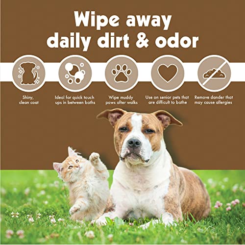 Petkin Pet Wipes for Dogs and Cats, 200 Wipes (Large) – Oatmeal Pet Wipes for Dogs and Cats – Soothes Itchy Dry Skin and Cleans Ears, Face, Butt, Body and Eye Area – 2 Packs of 100 Wipes