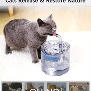 Cat Water Fountain Animal Water Dispenser 61OZ/1.8L Automatic Pet Drinking Fountain with 3 Filter Replacement 1 Pump 1 Cleaning Brush kit 1 Silicone Food Mat 1 Adapter for Cats Kitty Indoor