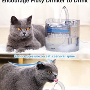 Cat Water Fountain Animal Water Dispenser 61OZ/1.8L Automatic Pet Drinking Fountain with 3 Filter Replacement 1 Pump 1 Cleaning Brush kit 1 Silicone Food Mat 1 Adapter for Cats Kitty Indoor