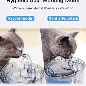 Cat Water Fountain Animal Water Dispenser 61OZ/1.8L Automatic Pet Drinking Fountain with 3 Filter Replacement 1 Pump 1 Cleaning Brush kit 1 Silicone Food Mat 1 Adapter for Cats Kitty Indoor