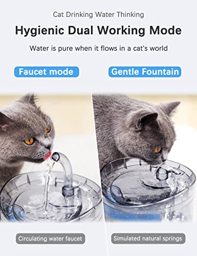 Cat Water Fountain Animal Water Dispenser 61OZ/1.8L Automatic Pet Drinking Fountain with 3 Filter Replacement 1 Pump 1 Cleaning Brush kit 1 Silicone Food Mat 1 Adapter for Cats Kitty Indoor