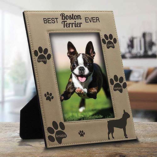 BELLA BUSTA - Best Boston Terrier Ever-Dog photo frame-Dog Lover-Engraved Leather Picture Frame (5 x 7 Vertical)