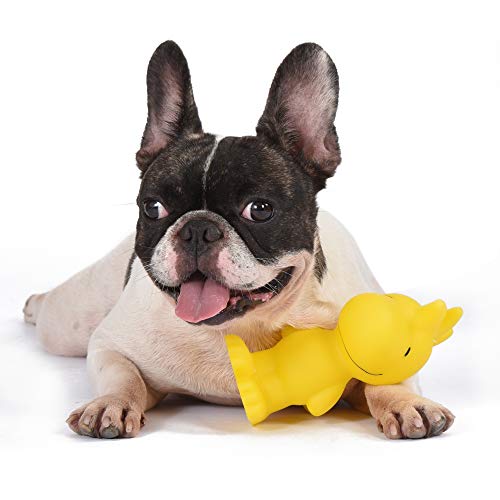 Peanuts for Pets Charlie Brown Woodstock Vinyl Squeaker Dog Toy | Squeaky Dog Toy for All Dogs | Charlie Brown Plastic Dog Toys for Aggressive Chewers - Fun and Cute Yellow Dog Chew Toy