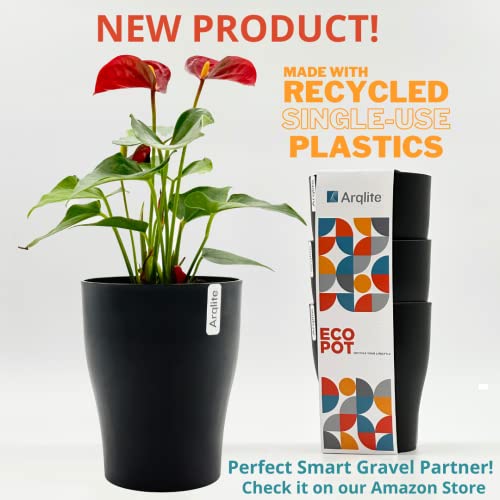 Arqlite Smart Gravel Eco Plant Drainage for Healthy Roots | for Pots, Houseplants, & Decor | Lightweight (1 Gal)