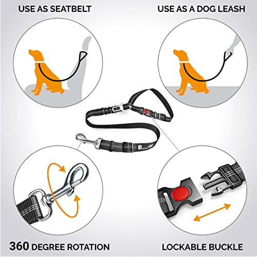 Comfortable Dog Seat Belt Harness for Car - 2-in-1 Leash and Restraint Secures to Headrest. Adjustable Bungee, Strong, Durable, 360 Degree Swivel Attach Won't Twist, Reflective, Easy to Use (Black)